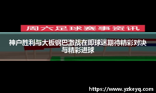 emc体育官方下载